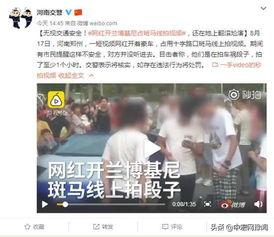 河南网红爆料新闻视频播放,河南网红爆料新闻视频引发热议